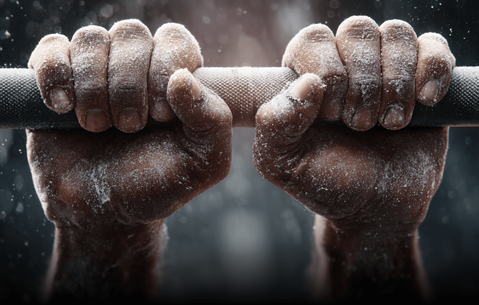 Gym + Fitness Classes